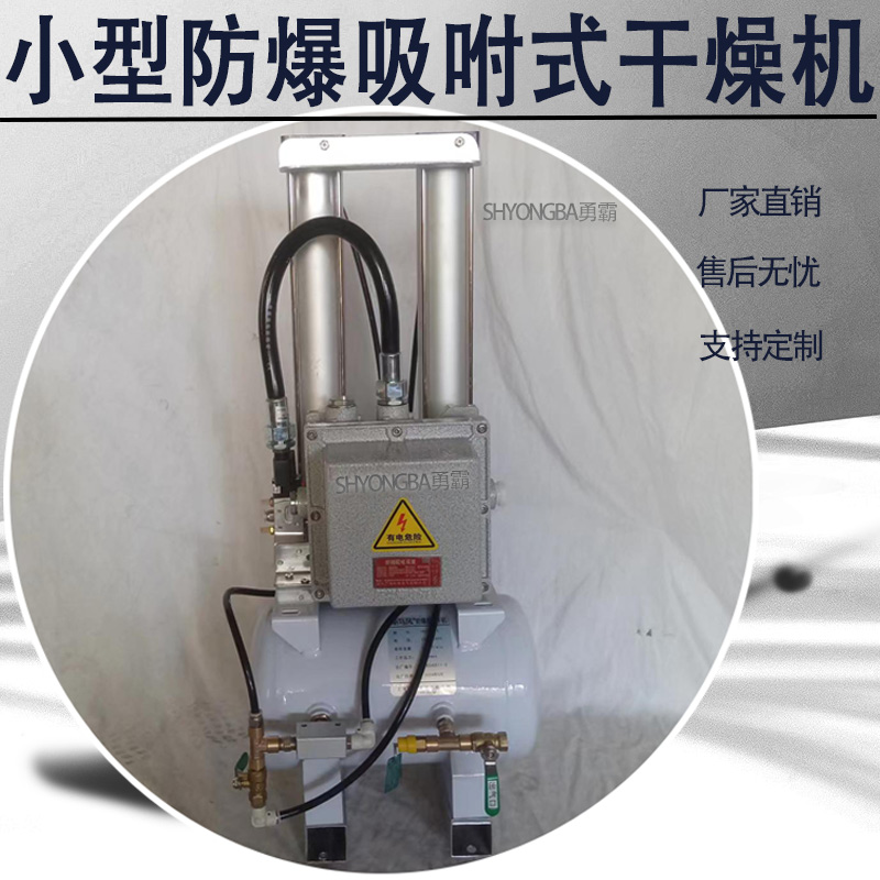 勇霸小型防爆吸附式干燥机