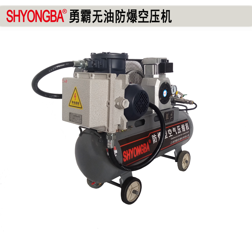 1.1KW无油防爆空压机