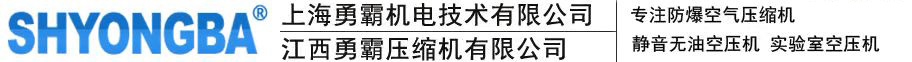 上海勇霸机电技术有限公司